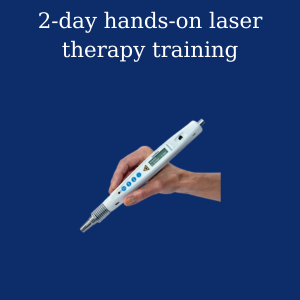 2-day hands-on laser therapy training